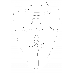Monza BLACK