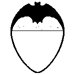Valencia BLACK