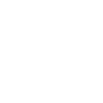 Crystal Palace WHITE