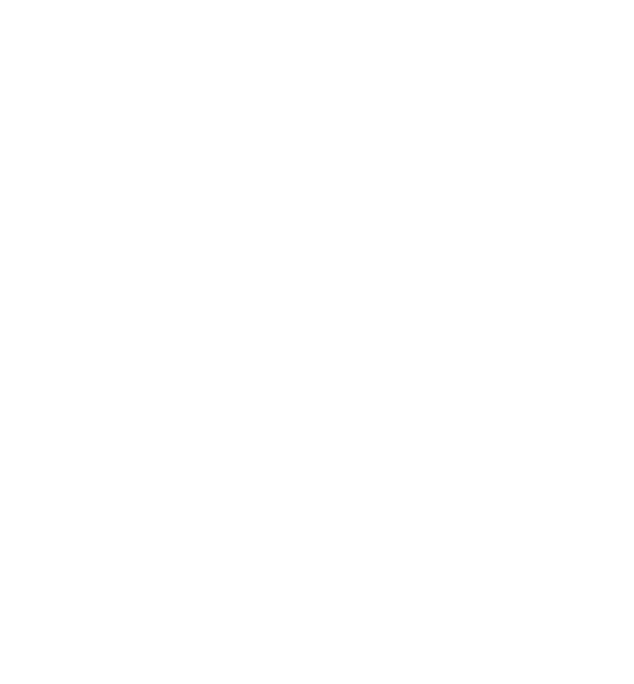 Elgin City WHITE