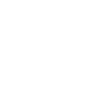 Swansea City WHITE